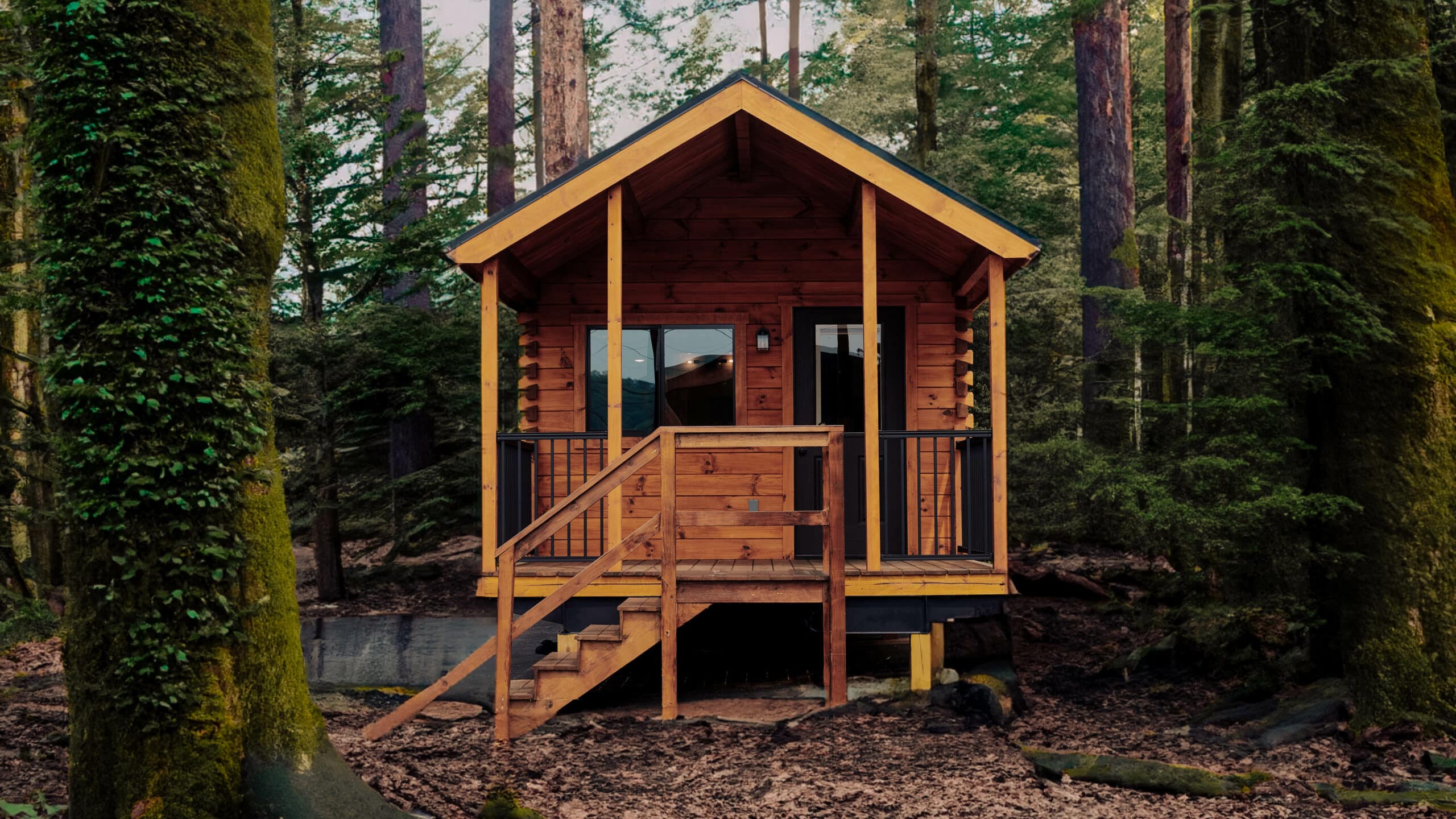 Tiny home in the middle of the woods