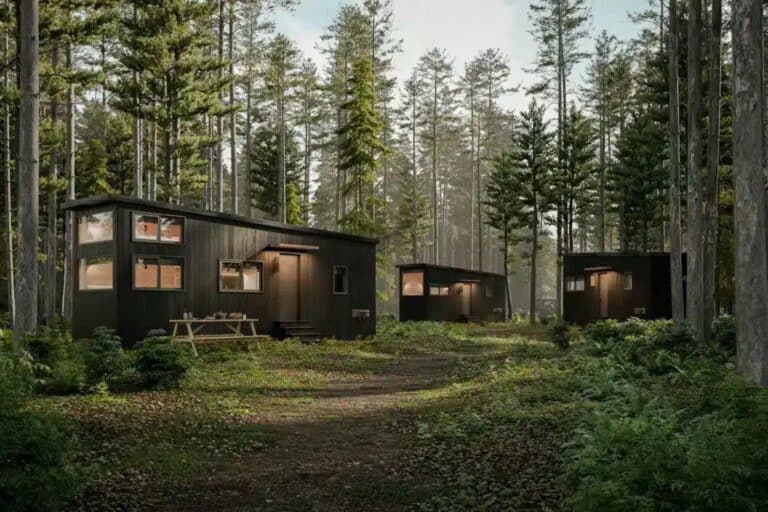 Tiny Home Regulations in Oregon The Complete Guide. View of three two-level tiny homes in an Oregon forest